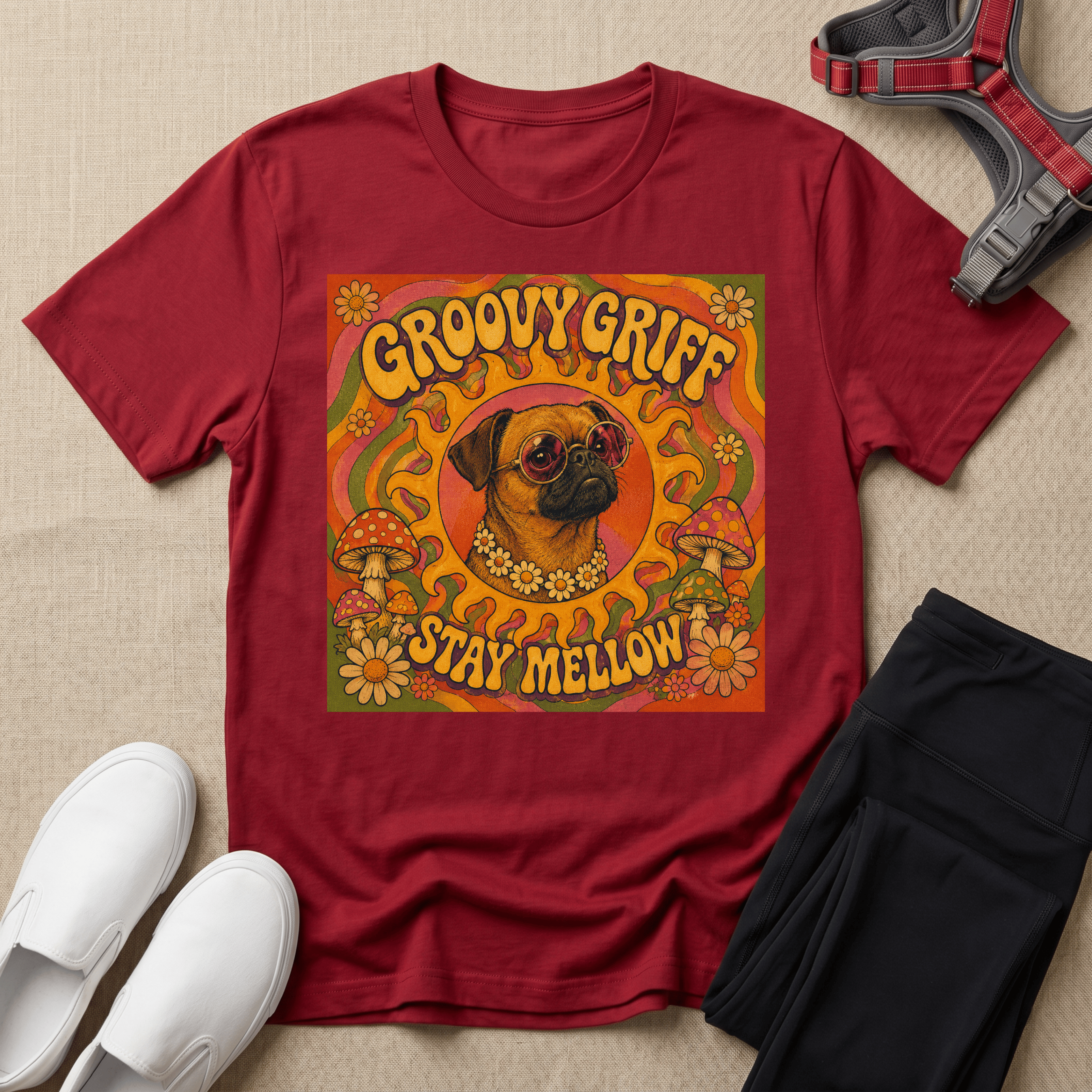Brussels Griffon - Groovy Griff